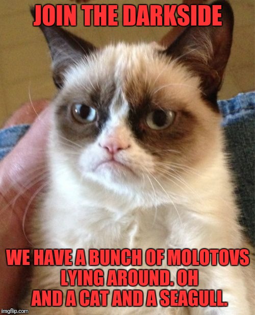 Grumpy Cat Meme | JOIN THE DARKSIDE WE HAVE A BUNCH OF MOLOTOVS LYING AROUND. OH AND A CAT AND A SEAGULL. | image tagged in memes,grumpy cat | made w/ Imgflip meme maker