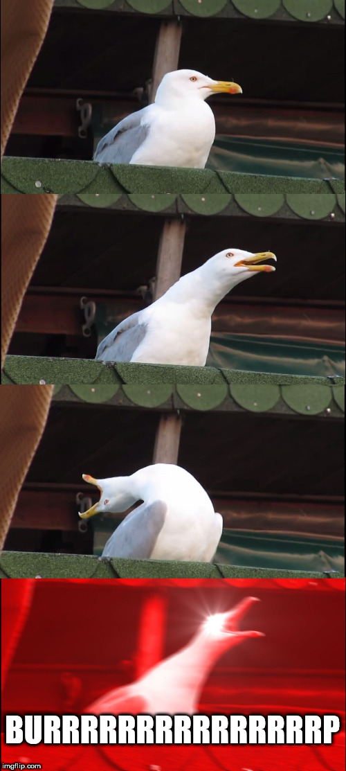 Inhaling Seagull | BURRRRRRRRRRRRRRRP | image tagged in memes,inhaling seagull | made w/ Imgflip meme maker