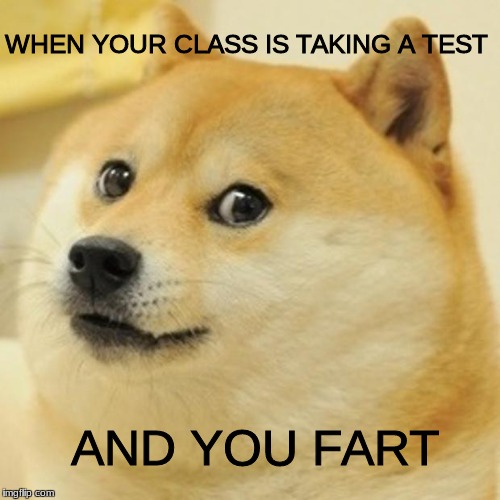 Doge Meme | WHEN YOUR CLASS IS TAKING A TEST; AND YOU FART | image tagged in memes,doge | made w/ Imgflip meme maker