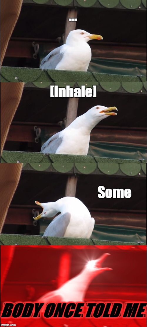 Inhaling Seagull Meme | ... [Inhale]; Some; BODY ONCE TOLD ME; BODY ONCE TOLD ME | image tagged in memes,inhaling seagull | made w/ Imgflip meme maker