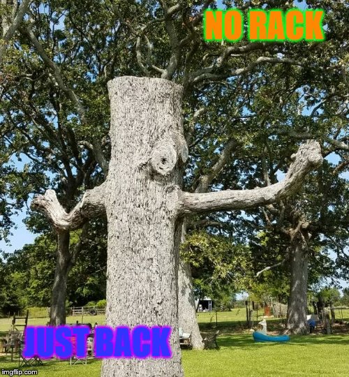 Fought the fight-Now,beaten,stripped,and useless. | NO RACK; JUST BACK | image tagged in tree,fight,meme | made w/ Imgflip meme maker