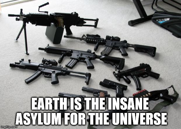 guns | EARTH IS THE INSANE ASYLUM FOR THE UNIVERSE | image tagged in guns | made w/ Imgflip meme maker
