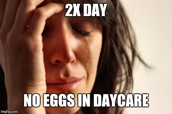 First World Problems Meme | 2X DAY; NO EGGS IN DAYCARE | image tagged in memes,first world problems | made w/ Imgflip meme maker
