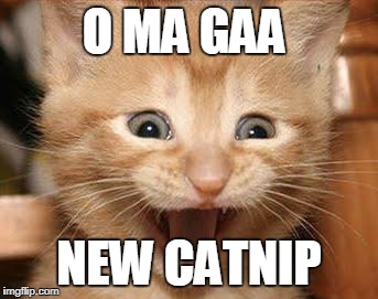 Excited Cat Meme | O MA GAA; NEW CATNIP | image tagged in memes,excited cat | made w/ Imgflip meme maker