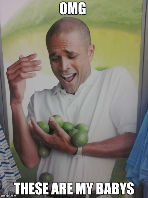 Why Can't I Hold All These Limes | OMG; THESE ARE MY BABYS | image tagged in memes,why can't i hold all these limes | made w/ Imgflip meme maker