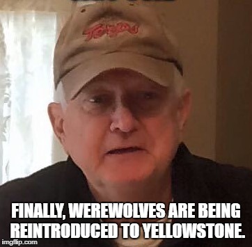 Dan For Memes | FINALLY, WEREWOLVES ARE BEING REINTRODUCED TO YELLOWSTONE. | image tagged in dan for memes | made w/ Imgflip meme maker