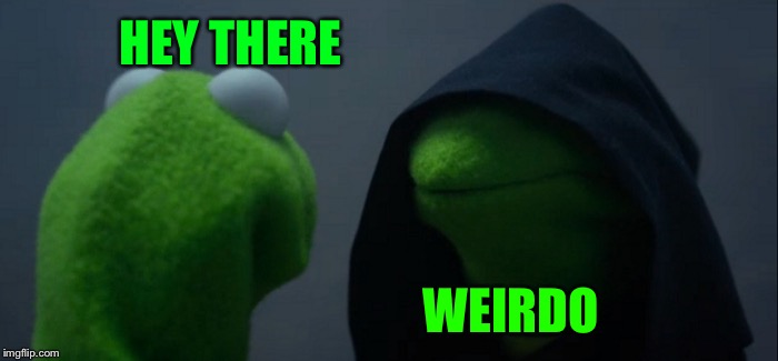 Evil Kermit Meme | HEY THERE WEIRDO | image tagged in memes,evil kermit | made w/ Imgflip meme maker