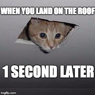 Ceiling Cat | WHEN YOU LAND ON THE ROOF; 1 SECOND LATER | image tagged in memes,ceiling cat | made w/ Imgflip meme maker