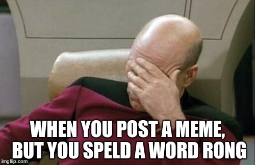 Captain Picard Facepalm Meme | WHEN YOU POST A MEME, BUT YOU SPELD A WORD RONG | image tagged in memes,captain picard facepalm | made w/ Imgflip meme maker