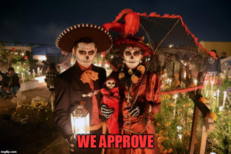 WE APPROVE | made w/ Imgflip meme maker