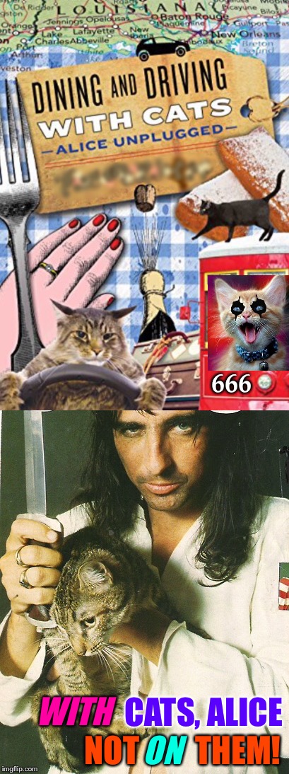 Right, I knew that! | 666; WITH; CATS, ALICE; ON; NOT         THEM! | image tagged in alice cooper,funny cat memes,rock and roll,funny food,traveling | made w/ Imgflip meme maker