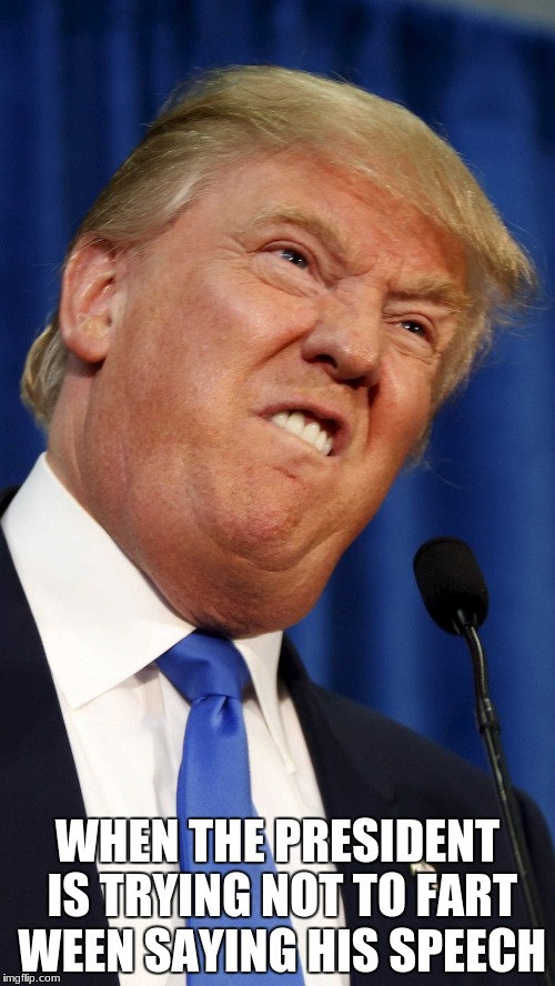 Trump funny face | WHEN THE PRESIDENT IS TRYING NOT TO FART WEEN SAYING HIS SPEECH | image tagged in trump funny face | made w/ Imgflip meme maker