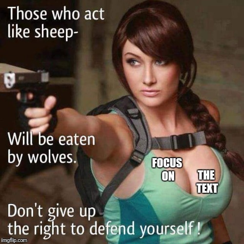 Sheeple | FOCUS ON; THE TEXT | image tagged in sheeple | made w/ Imgflip meme maker