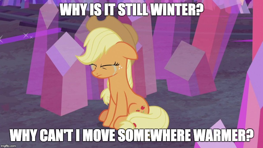 First world problem Applejack | WHY IS IT STILL WINTER? WHY CAN'T I MOVE SOMEWHERE WARMER? | image tagged in first world problem applejack | made w/ Imgflip meme maker