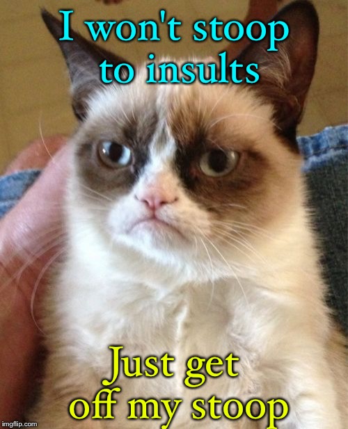 When you're very tired. | I won't stoop to insults; Just get off my stoop | image tagged in memes,grumpy cat,funny,tired | made w/ Imgflip meme maker