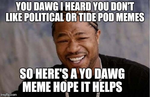 Yo Dawg Heard You Meme | YOU DAWG I HEARD YOU DON'T LIKE POLITICAL OR TIDE POD MEMES; SO HERE'S A YO DAWG MEME HOPE IT HELPS | image tagged in memes,yo dawg heard you | made w/ Imgflip meme maker