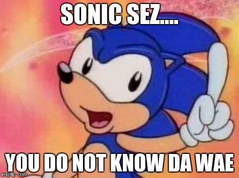 Sonic Sez | SONIC SEZ.... YOU DO NOT KNOW DA WAE | image tagged in sonic sez | made w/ Imgflip meme maker