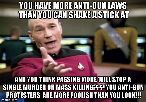Picard Wtf Meme | YOU HAVE MORE ANTI-GUN LAWS THAN YOU CAN SHAKE A STICK AT; AND YOU THINK PASSING MORE WILL STOP A SINGLE MURDER OR MASS KILLING??? YOU ANTI-GUN PROTESTERS  ARE MORE FOOLISH THAN YOU LOOK!!! | image tagged in memes,picard wtf | made w/ Imgflip meme maker