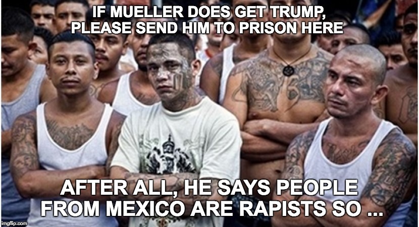 Ms 13 | IF MUELLER DOES GET TRUMP, PLEASE SEND HIM TO PRISON HERE; AFTER ALL, HE SAYS PEOPLE FROM MEXICO ARE RAPISTS SO ... | image tagged in ms 13,donald trump,racist trump | made w/ Imgflip meme maker