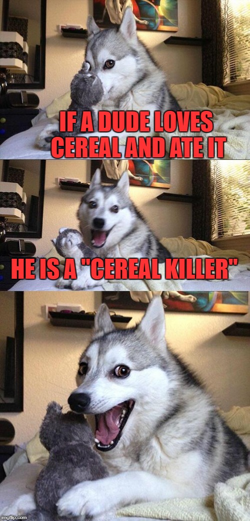 Bad Pun Dog | IF A DUDE LOVES CEREAL AND ATE IT; HE IS A "CEREAL KILLER" | image tagged in memes,bad pun dog | made w/ Imgflip meme maker