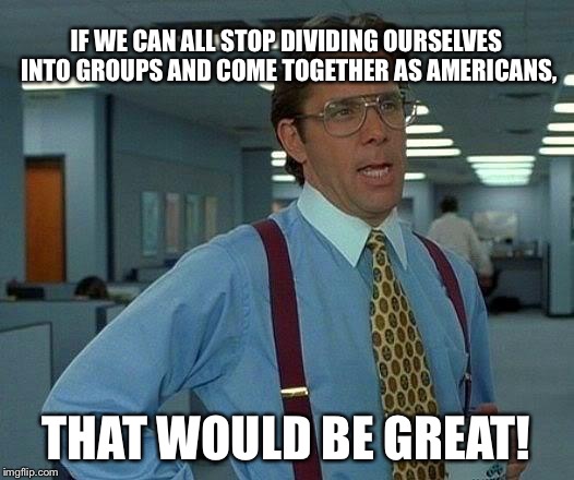 That Would Be Great | IF WE CAN ALL STOP DIVIDING OURSELVES INTO GROUPS AND COME TOGETHER AS AMERICANS, THAT WOULD BE GREAT! | image tagged in memes,that would be great | made w/ Imgflip meme maker