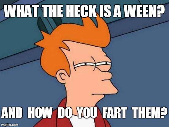 Futurama Fry Meme | AND  HOW  DO  YOU  FART  THEM? WHAT THE HECK IS A WEEN? | image tagged in memes,futurama fry | made w/ Imgflip meme maker