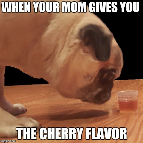 Pharmacy Pug Conversions | WHEN YOUR MOM GIVES YOU; THE CHERRY FLAVOR | image tagged in pharmacy pug conversions | made w/ Imgflip meme maker