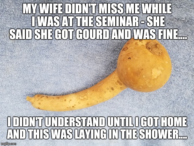 She got gourd.... | MY WIFE DIDN'T MISS ME WHILE I WAS AT THE SEMINAR - SHE SAID SHE GOT GOURD AND WAS FINE.... I DIDN'T UNDERSTAND UNTIL I GOT HOME AND THIS WAS LAYING IN THE SHOWER.... | image tagged in gourd,original meme,memes,funny memes | made w/ Imgflip meme maker