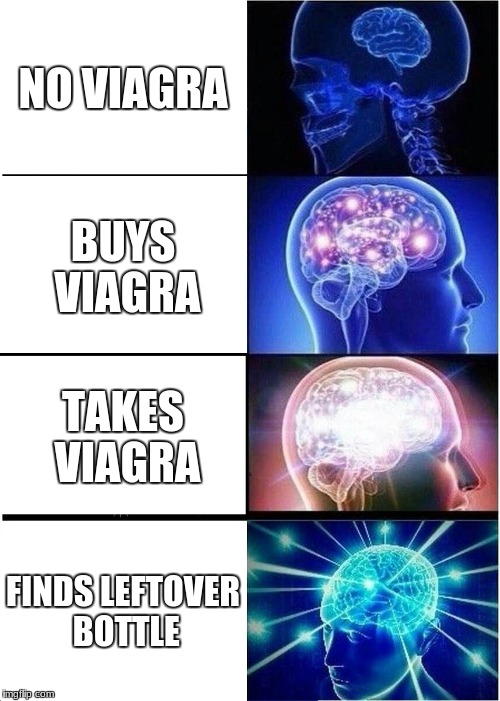 Expanding Brain Meme | NO VIAGRA; BUYS VIAGRA; TAKES VIAGRA; FINDS LEFTOVER BOTTLE | image tagged in memes,expanding brain | made w/ Imgflip meme maker