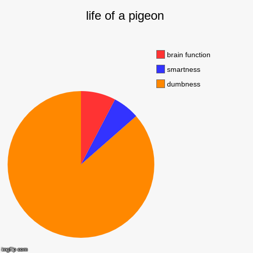 life of a pigeon | dumbness, smartness, brain function | image tagged in funny,pie charts | made w/ Imgflip chart maker