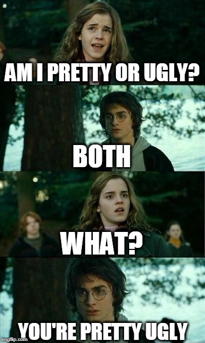 AM I PRETTY OR UGLY? BOTH; WHAT? YOU'RE PRETTY UGLY | image tagged in hermionie and harry | made w/ Imgflip meme maker