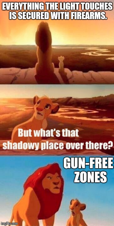 Simba Shadowy Place Meme | EVERYTHING THE LIGHT TOUCHES IS SECURED WITH FIREARMS. GUN-FREE 
ZONES | image tagged in memes,simba shadowy place | made w/ Imgflip meme maker