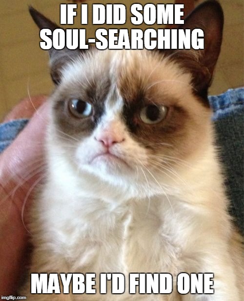 Grumpy Cat Meme | IF I DID SOME SOUL-SEARCHING; MAYBE I'D FIND ONE | image tagged in memes,grumpy cat | made w/ Imgflip meme maker