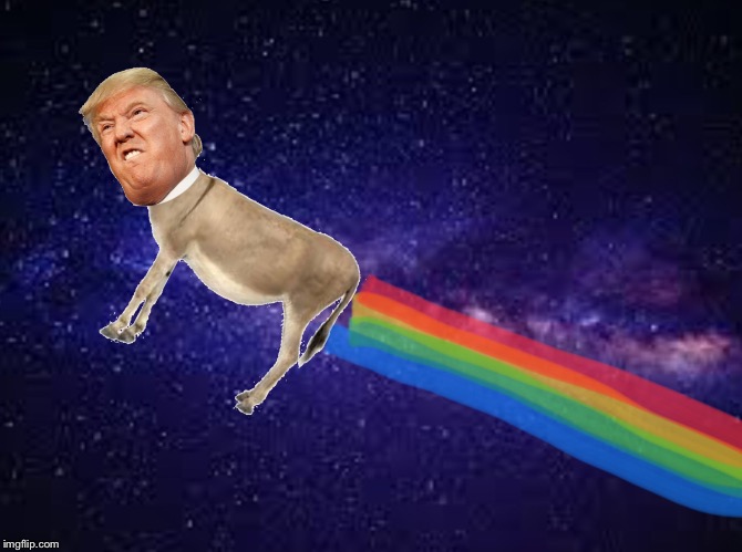 I | image tagged in space trump rainbow donkey | made w/ Imgflip meme maker