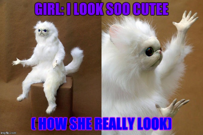Persian Cat Room Guardian Meme | GIRL: I LOOK SOO CUTEE; ( HOW SHE REALLY LOOK) | image tagged in memes,persian cat room guardian | made w/ Imgflip meme maker