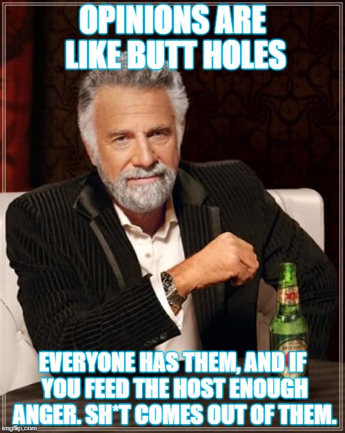 The Most Interesting Man In The World | OPINIONS ARE LIKE BUTT HOLES; EVERYONE HAS THEM, AND IF YOU FEED THE HOST ENOUGH ANGER. SH*T COMES OUT OF THEM. | image tagged in memes,the most interesting man in the world | made w/ Imgflip meme maker