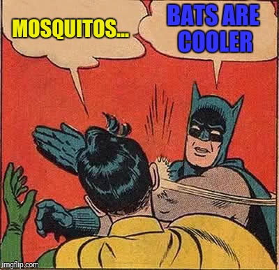 Batman Slapping Robin Meme | MOSQUITOS... BATS ARE COOLER | image tagged in memes,batman slapping robin | made w/ Imgflip meme maker