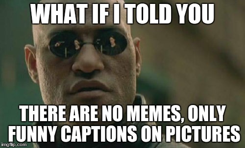 what if i told you | WHAT IF I TOLD YOU; THERE ARE NO MEMES, ONLY FUNNY CAPTIONS ON PICTURES | image tagged in memes,matrix morpheus | made w/ Imgflip meme maker