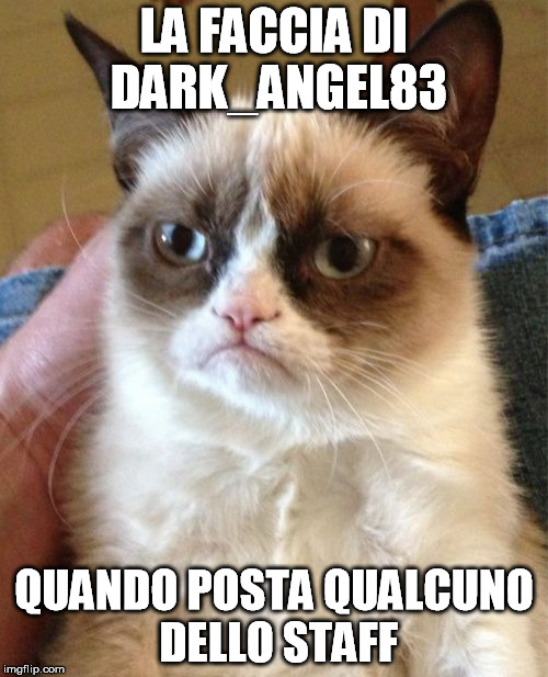 Grumpy Cat Meme | LA FACCIA DI DARK_ANGEL83; QUANDO POSTA QUALCUNO DELLO STAFF | image tagged in memes,grumpy cat | made w/ Imgflip meme maker