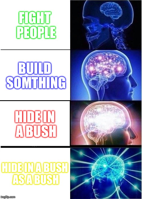 Expanding Brain | FIGHT PEOPLE; BUILD SOMTHING; HIDE IN A BUSH; HIDE IN A BUSH AS A BUSH | image tagged in memes,expanding brain | made w/ Imgflip meme maker