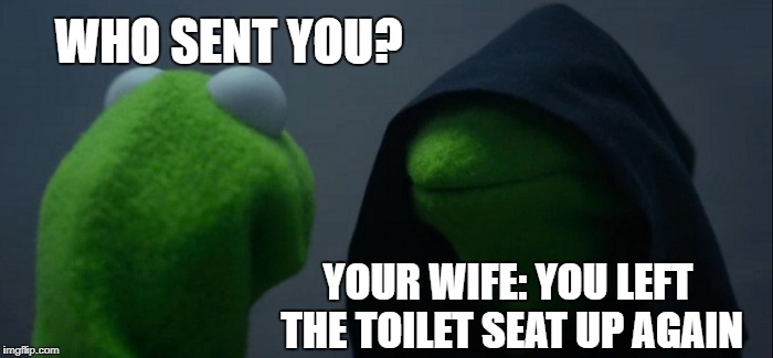 Evil Kermit Meme | WHO SENT YOU? YOUR WIFE: YOU LEFT THE TOILET SEAT UP AGAIN | image tagged in memes,evil kermit | made w/ Imgflip meme maker