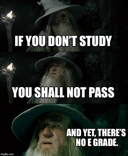 Confused Gandalf Meme | IF YOU DON’T STUDY; YOU SHALL NOT PASS; AND YET, THERE’S NO E GRADE. | image tagged in memes,confused gandalf | made w/ Imgflip meme maker