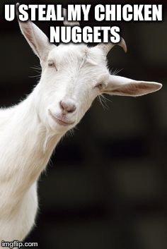 Goat wants his chicken nuggets | U STEAL MY CHICKEN NUGGETS | image tagged in chicken nuggets,goat | made w/ Imgflip meme maker