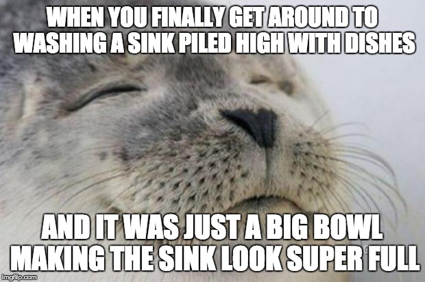 Happy Seal | WHEN YOU FINALLY GET AROUND TO WASHING A SINK PILED HIGH WITH DISHES; AND IT WAS JUST A BIG BOWL MAKING THE SINK LOOK SUPER FULL | image tagged in happy seal | made w/ Imgflip meme maker