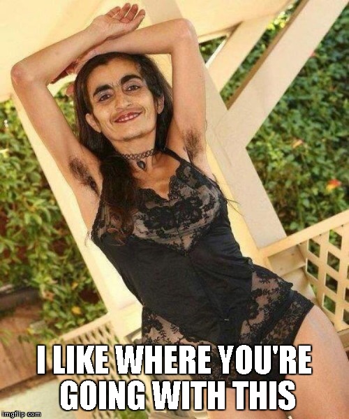 I LIKE WHERE YOU'RE GOING WITH THIS | made w/ Imgflip meme maker