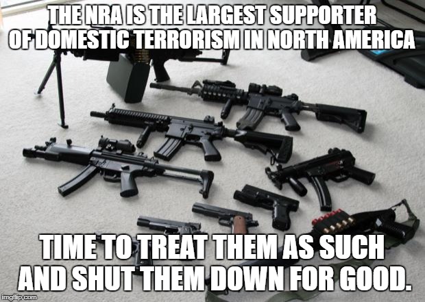 guns | THE NRA IS THE LARGEST SUPPORTER OF DOMESTIC TERRORISM IN NORTH AMERICA; TIME TO TREAT THEM AS SUCH AND SHUT THEM DOWN FOR GOOD. | image tagged in guns | made w/ Imgflip meme maker