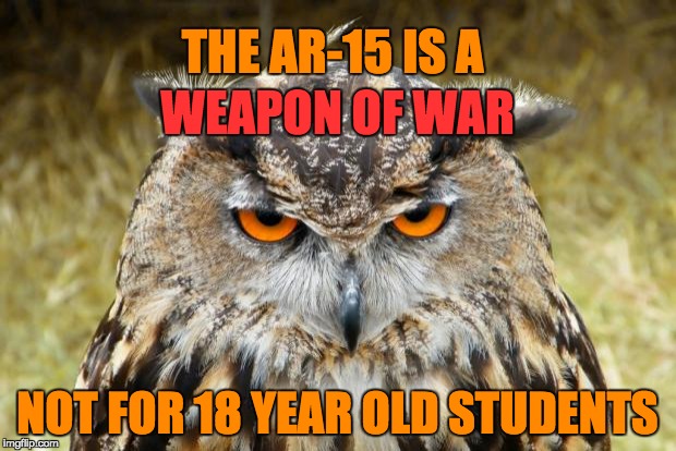 weapon of war - not for 18 year old students | WEAPON OF WAR; THE AR-15 IS A; NOT FOR 18 YEAR OLD STUDENTS | image tagged in ar-15,weapon of war,18 year old student,wise old owl | made w/ Imgflip meme maker