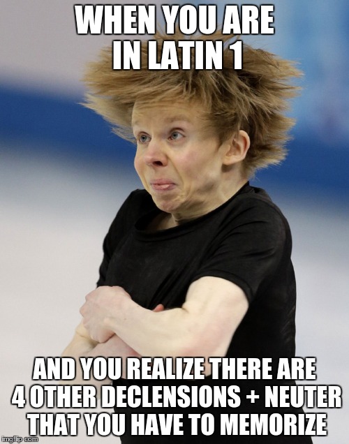 latin meme | WHEN YOU ARE IN LATIN 1; AND YOU REALIZE THERE ARE 4 OTHER DECLENSIONS + NEUTER THAT YOU HAVE TO MEMORIZE | image tagged in that moment when | made w/ Imgflip meme maker