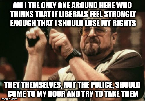 Am I The Only One Around Here Meme | AM I THE ONLY ONE AROUND HERE WHO THINKS THAT IF LIBERALS FEEL STRONGLY ENOUGH THAT I SHOULD LOSE MY RIGHTS; THEY THEMSELVES, NOT THE POLICE, SHOULD COME TO MY DOOR AND TRY TO TAKE THEM | image tagged in memes,am i the only one around here | made w/ Imgflip meme maker