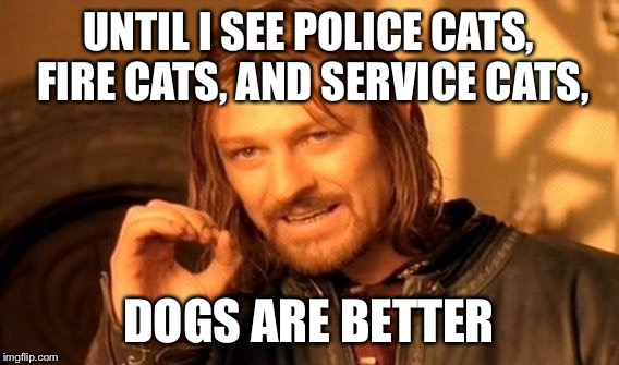 One Does Not Simply Meme | UNTIL I SEE POLICE CATS, FIRE CATS, AND SERVICE CATS, DOGS ARE BETTER | image tagged in memes,one does not simply | made w/ Imgflip meme maker